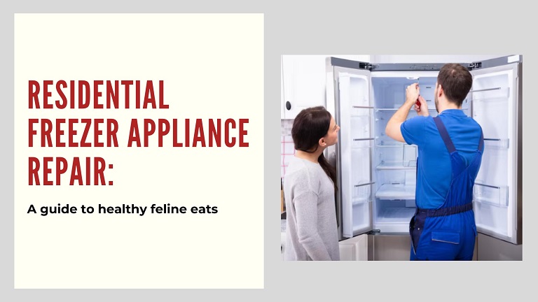 Residential Freezer Appliance Repair Common Problems, Solutions, and Expert Tips