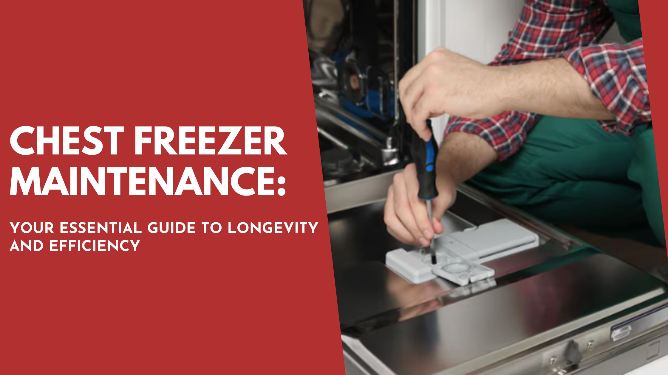 Chest Freezer Maintenance Your Essential Guide to Longevity and Efficiency